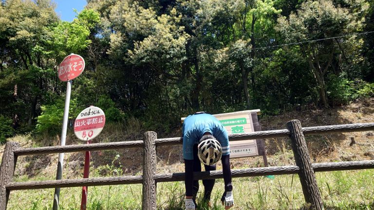 が、心配及ばず。　8本登って無事に昇天できました😇　