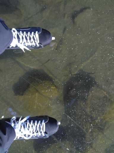 Il faut imaginer les poissons qui te passent sous les pieds