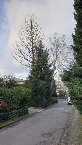 Koenigstein im Taunus_ID10265_UM_Am Lindenbaum 8