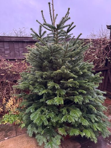 Looks great now I’ve tidied it up a bit ….. 😁