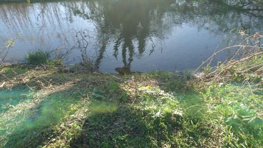 Nutrian sehr neugierig