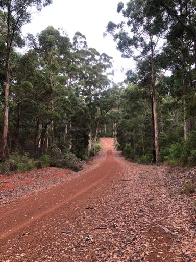 Endless roads of fun