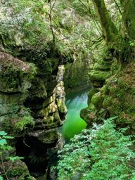 Creux du van, gorges de l’Areuse, retour par le dos d’âne