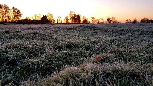 Mooi berijpte velden maar gelukkig niet glad