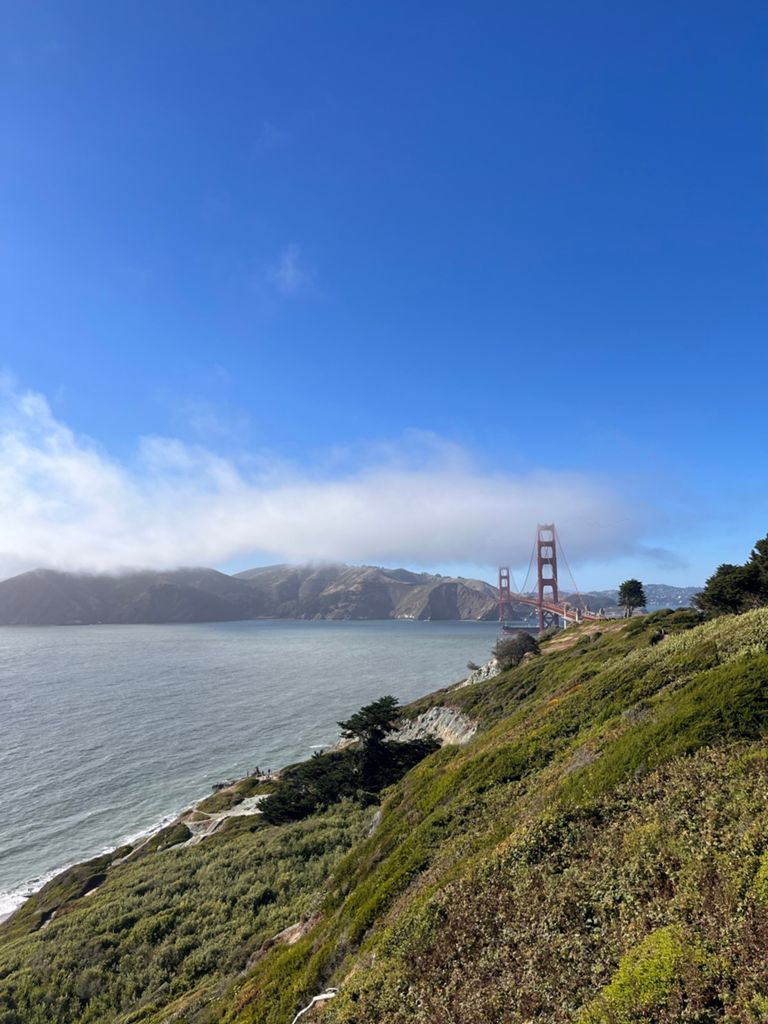 Butterlap (Presidio & Golden Gate Park) photo 137