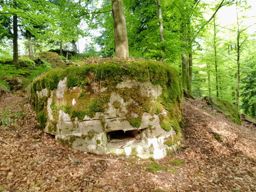 Run-visite des vestiges de la Pierre Piquee