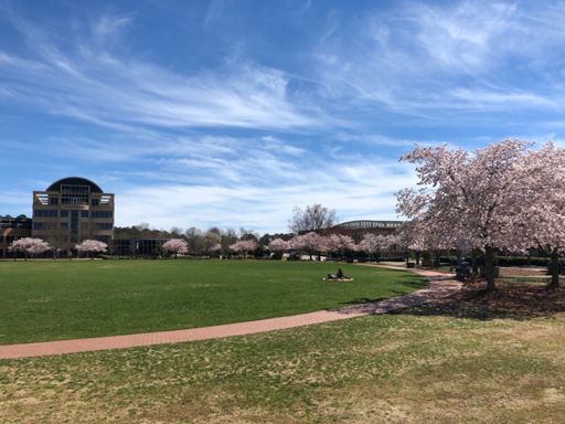 This is the prettiest time of year on campus ❤️