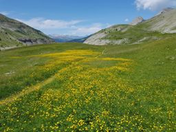 Lac de Lignin en VTT