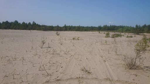 Pustynny krajobraz na terenie dawnego zbiornika odpadów poflotacyjnych Gilów