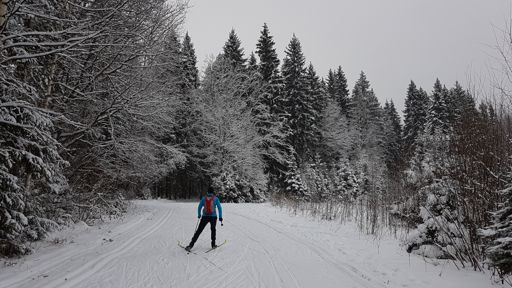 Беголыжная трасса Переславля-Залесского. 	