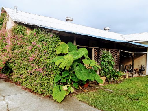Home in the south east corner of the crossroads.