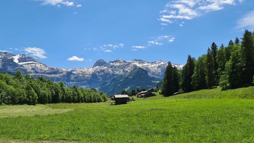 Eingang Lenk