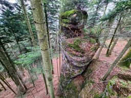 Sortie à vélo le soir