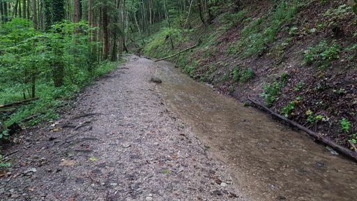 Schlossweg nach Widdersberg