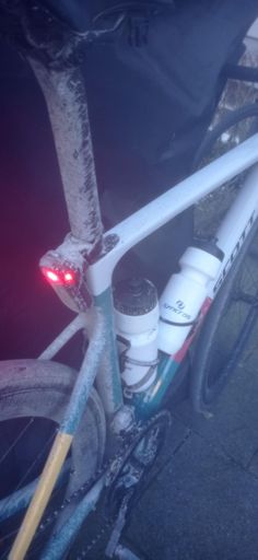 Beluga in salt crust 😉🥴