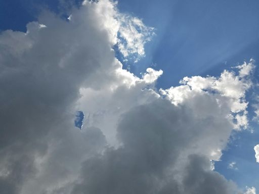 Tiny bit of relief from the sun.