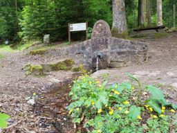 Fontaine du col de la chapelotte
