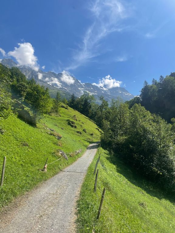 route-highlight