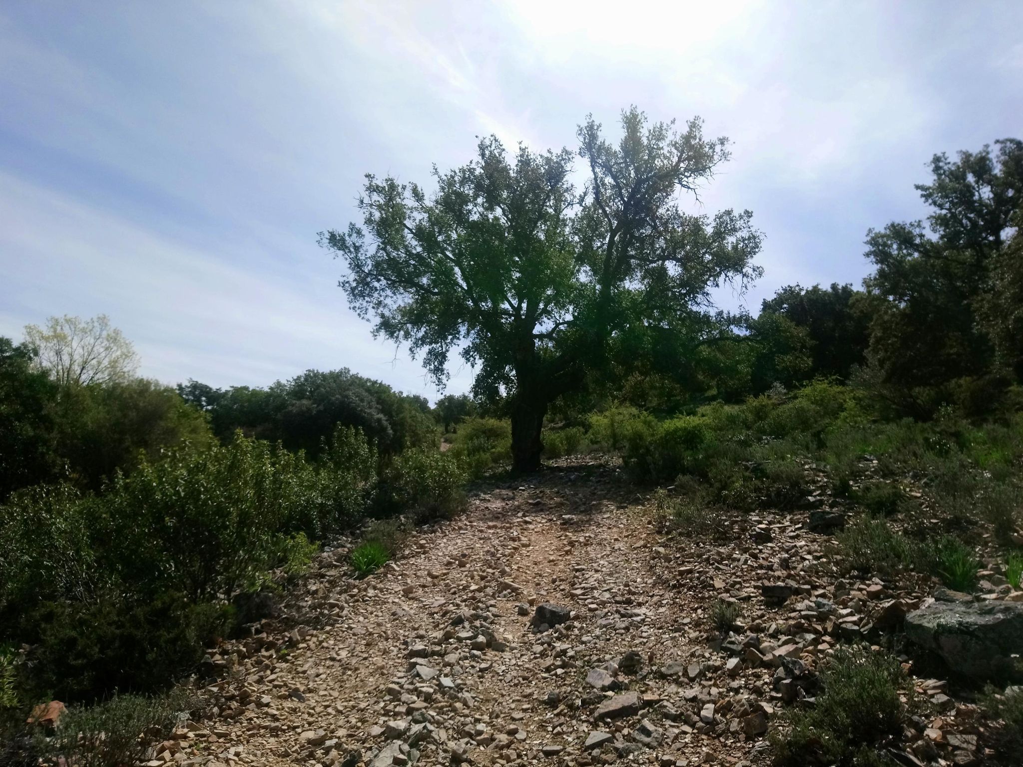 recent achievements  pr on cl las hayas - sector 3 (subida)  14