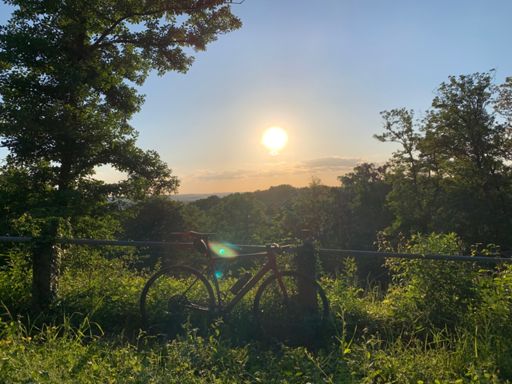 Kotzenloch-Dschungel.