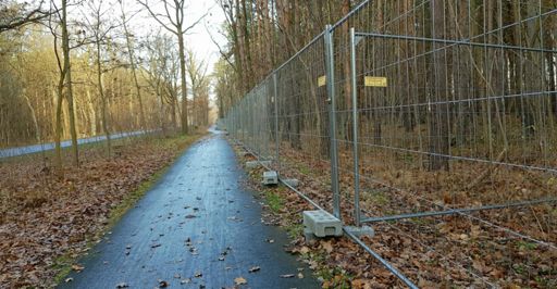 Immer am Zaun lang...