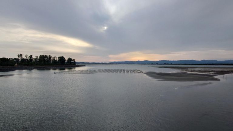 こういう風景もあまり見ないので、ついつい...😅