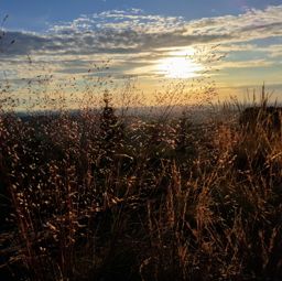 Lamproy, Grand Rougimont, Grand retour