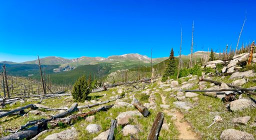 Mt Blue Sky (14,266 feet) in the center of the frame.