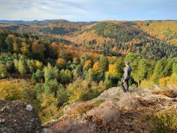 Rando depuis Ochsenstein