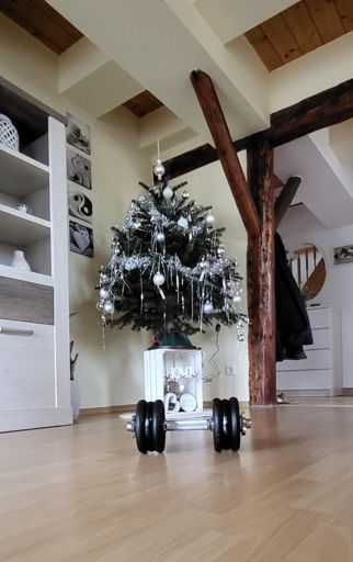 Zwischendurch ein bisschen Sport gemacht💪💪