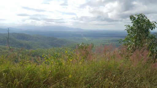 Wallaman falls climb. Lookout halfway up.