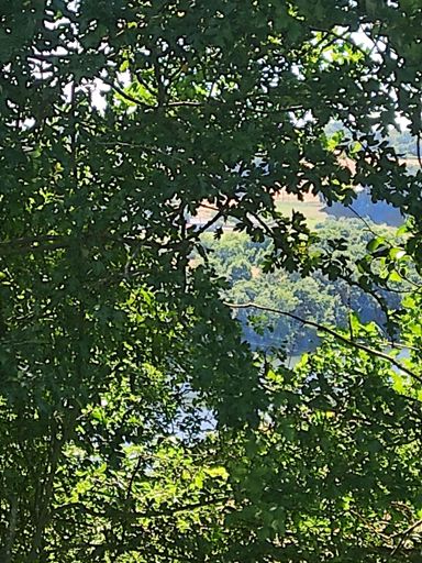 Vallée de l orne en contre bas