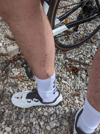 Stoßis erstes Rennradtattoo 👌