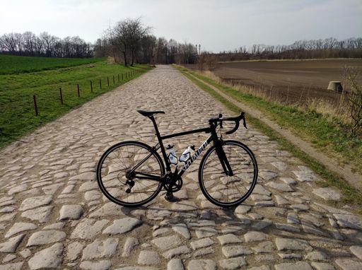 Peter Sagan Superstar