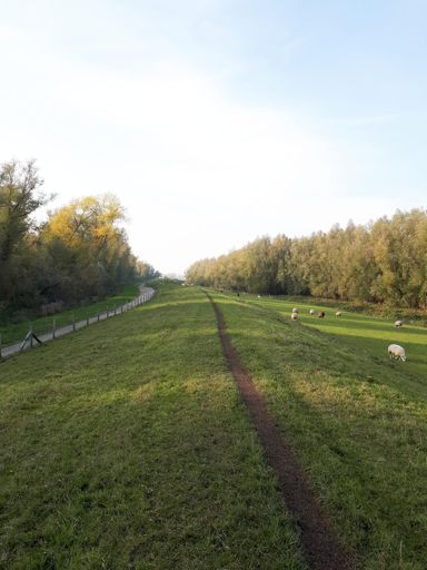 Ik moest echt een héél stuk door een weiland voor dat ene lastige vakje... Tussen de schapen, echt alles zat onder de schapenpoep!