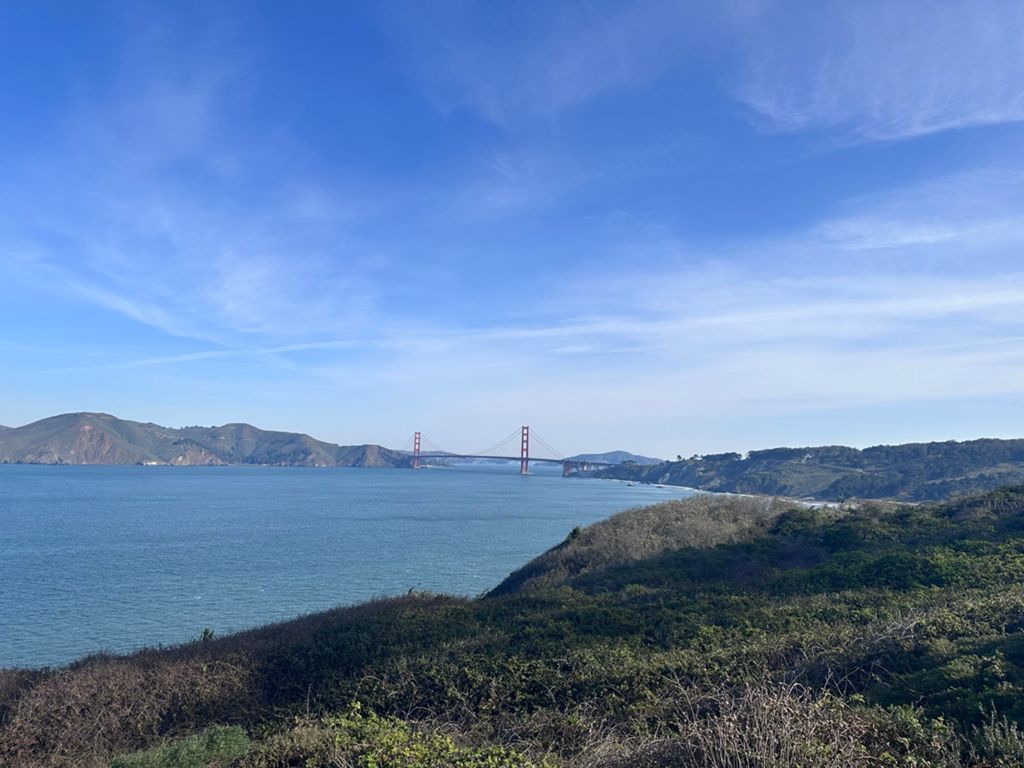 Butterlap (Presidio & Golden Gate Park) photo 117