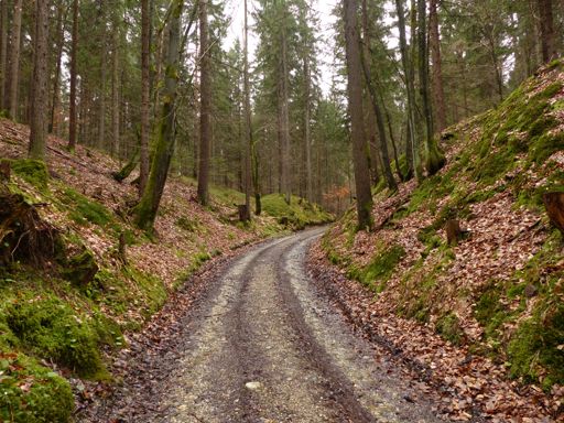 tahle cesta, mech a les okolo se mi hrozně líbí