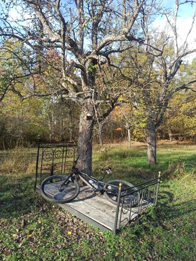 Kurze Auszeit fürs Schätzle 😂🥰