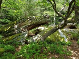 Les Jumeaux et la roche du Thoné