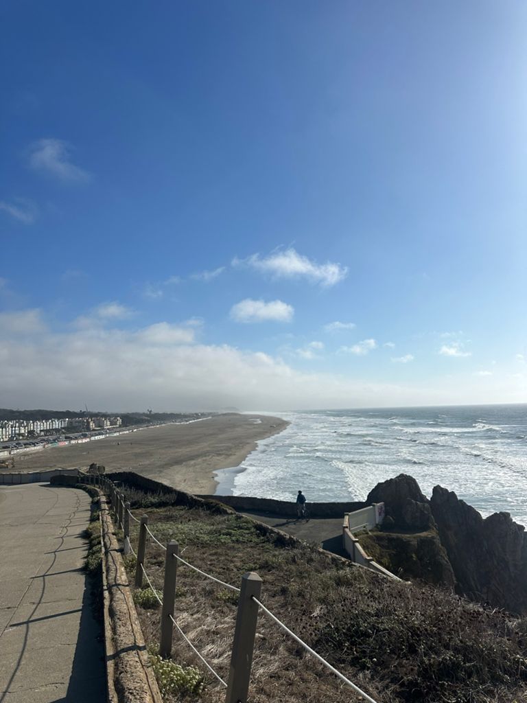 Butterlap (Presidio & Golden Gate Park) photo 51