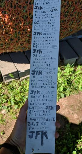 Anything and everything you need to know