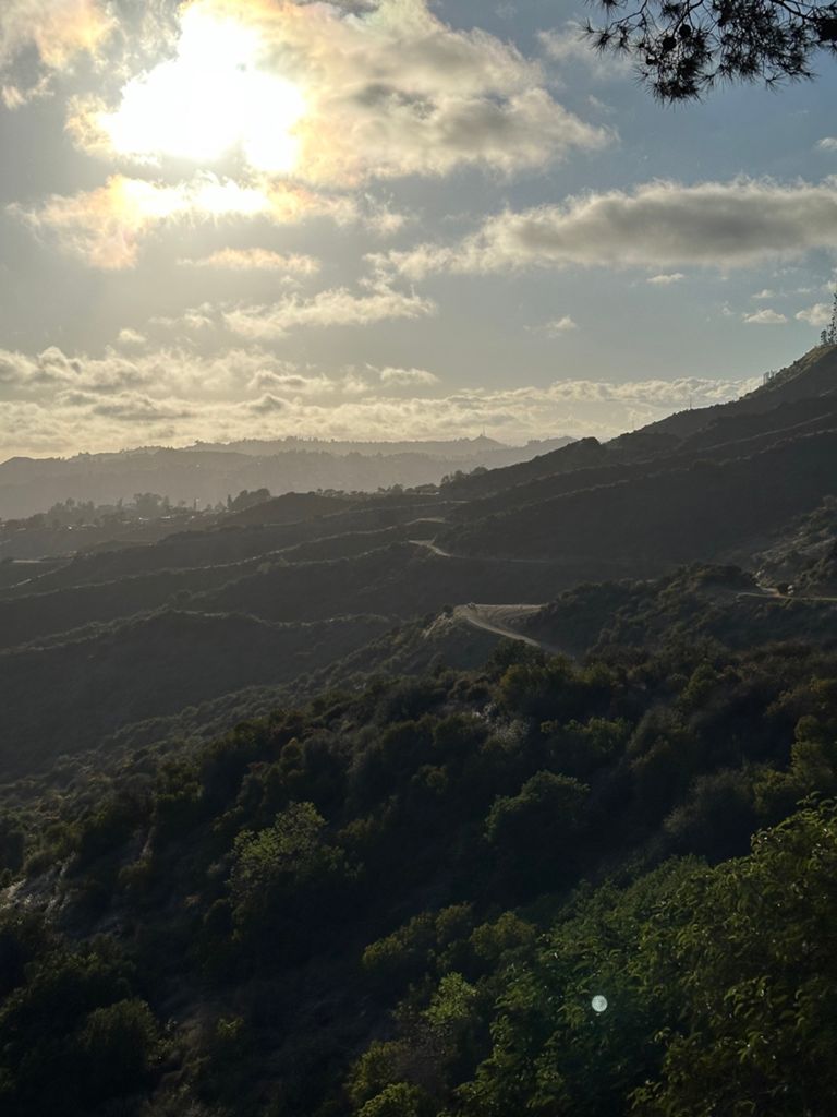 NBB run - Lake Hollywood: фото 88