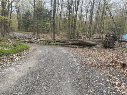 Greylock Rd a lil past the first gate.