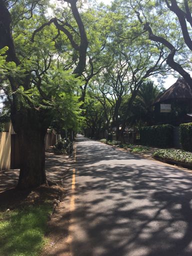 Could ride for days...I'll get lost of course...