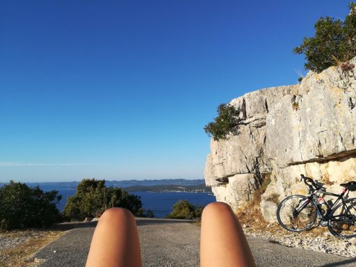 Patnja mladih hrenovki