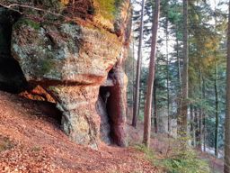 Course à pied dans l’après-midi