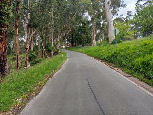 Road from Aura Vale up to Selby - 3% elevation maybe and is very pleasant riding.