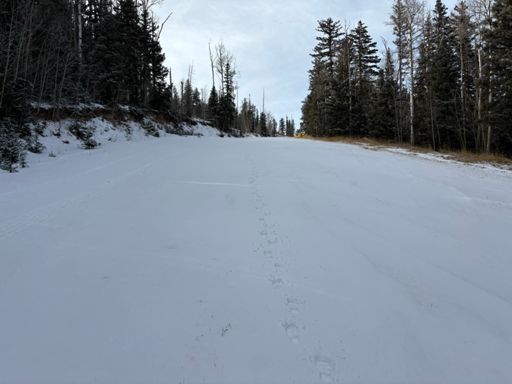 Nice tracks on Bruce's Blvd + the top 1/2 to 2/3 of the mountain where the snow didn't get blown off. 2" new snow on top of bullet proof snow