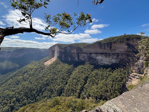 Cliff collapsed in Aug-25. Viewed from Evan’s lookout