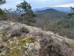 Autour du Falkenstein